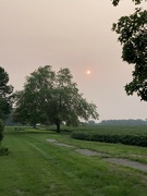 15th Jul 2023 - Smoky skies again