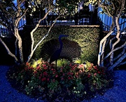 16th Jul 2023 - Evening Lighted Garden, Charleston