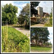 16th Jul 2023 - Rural Scene Suffolk