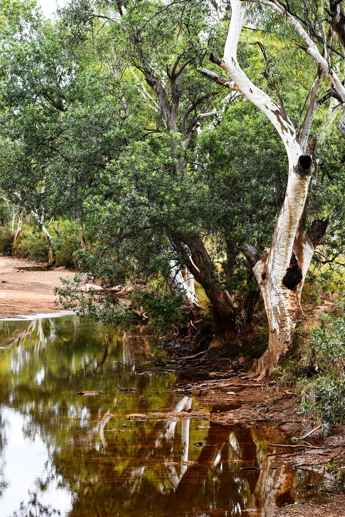 Spear Creek by nannasgotitgoingon