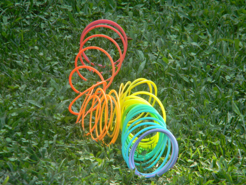 Slinky in Neighbor's Yard  by sfeldphotos