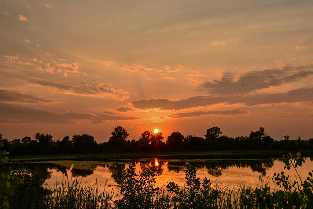 Baker Wetlands Sunset 7-16-23 by kareenking