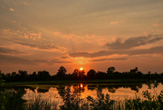 16th Jul 2023 - Baker Wetlands Sunset 7-16-23