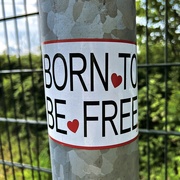 13th Jul 2023 - Born 2B free