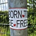 Born 2B free by mastermek