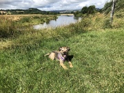 17th Jul 2023 - Our First Walk Together