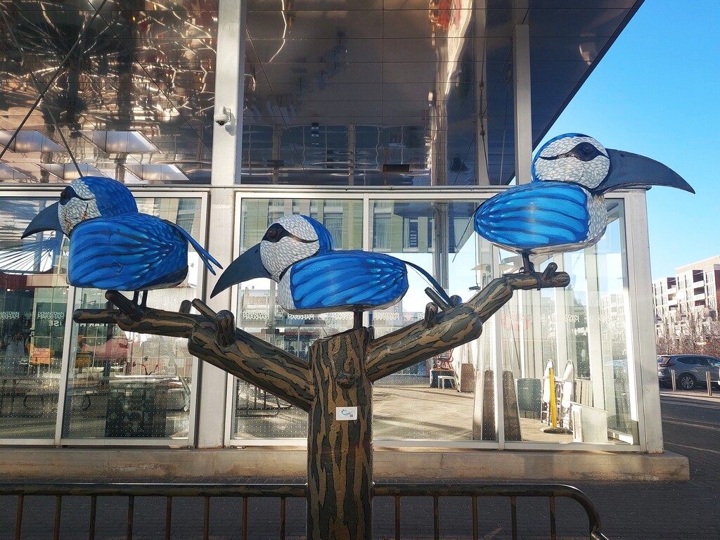 Folk Art Blue Jays by princessicajessica