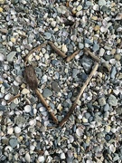 18th Jul 2023 - Heart on a shell beach. 