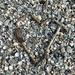 Heart on a shell beach.  by cocobella