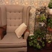 Paul's armchair and our indoor plants. by grace55