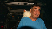 17th Jul 2023 - And What Do You Do When a Chicken Jumps into Your Car!