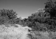 18th Jul 2023 - Hiking path
