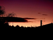 18th Jul 2023 - Evening silhouettes