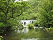 24th Jun 2023 - River Wye Monsal Dale Derbyshire