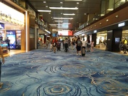 18th Jul 2023 - Singapore Airport 