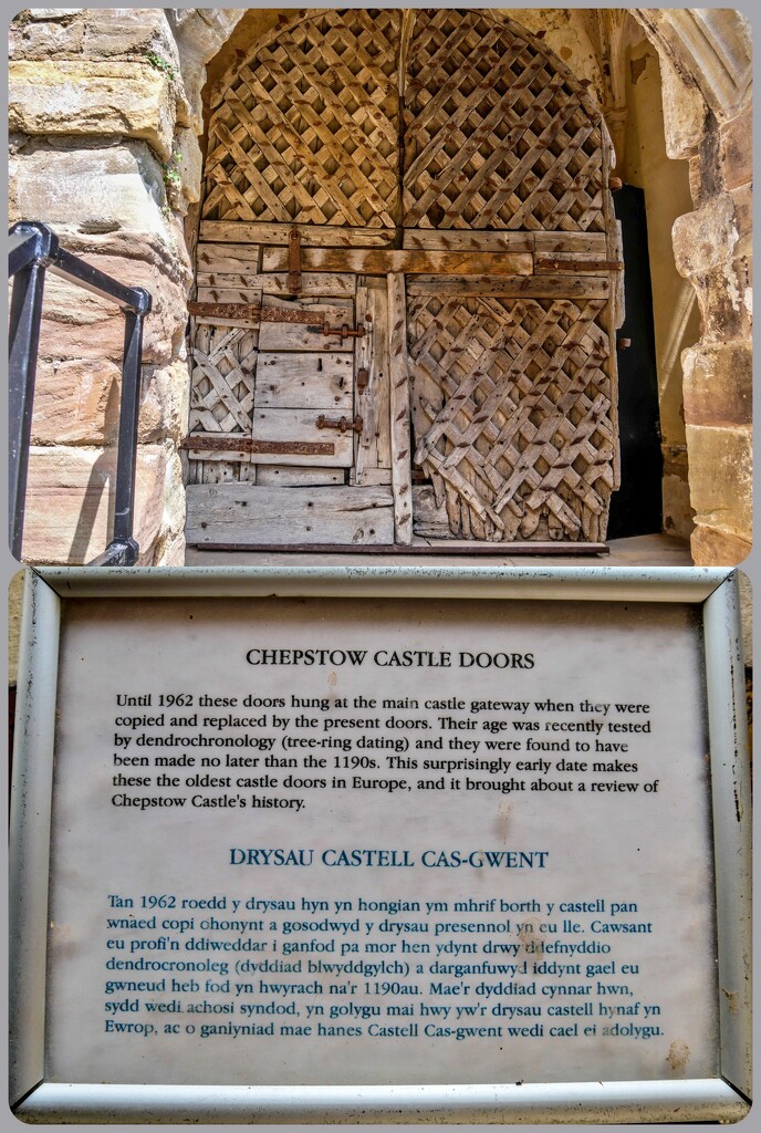 Old Castle Doors,Chepstow by carolmw