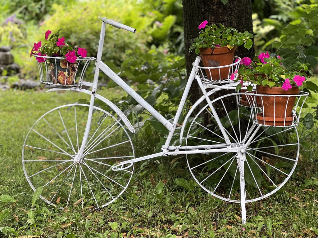 My Garden Bike by radiogirl