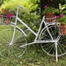 My Garden Bike by radiogirl