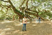 18th Jul 2023 - Angel Oak Tree
