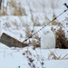 Snowy Owl by sunnygreenwood