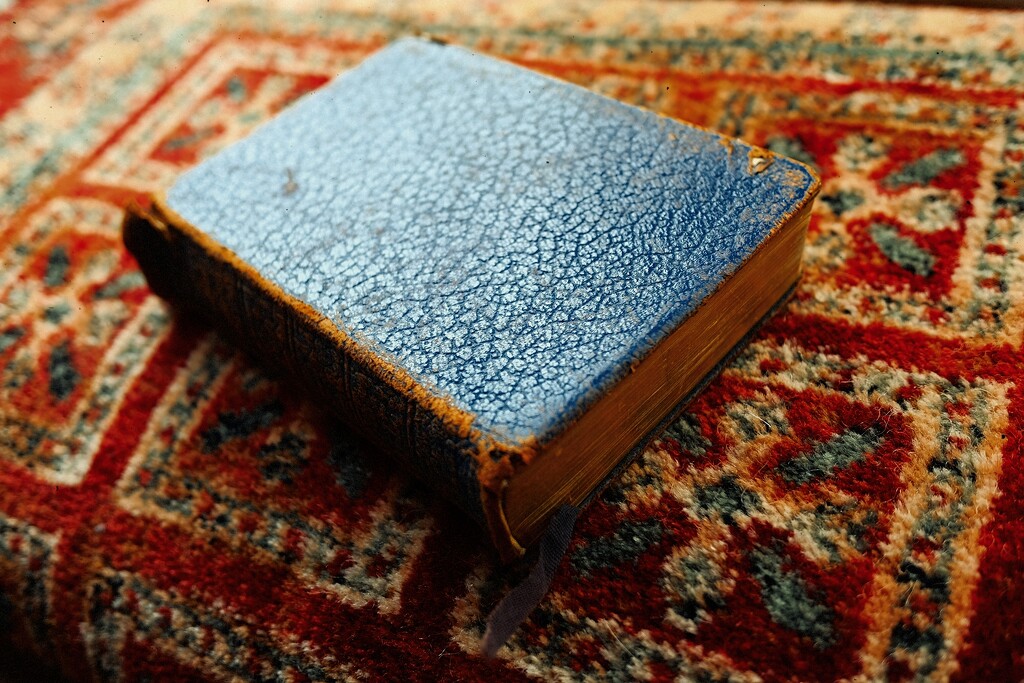 Book on Carpet by allsop
