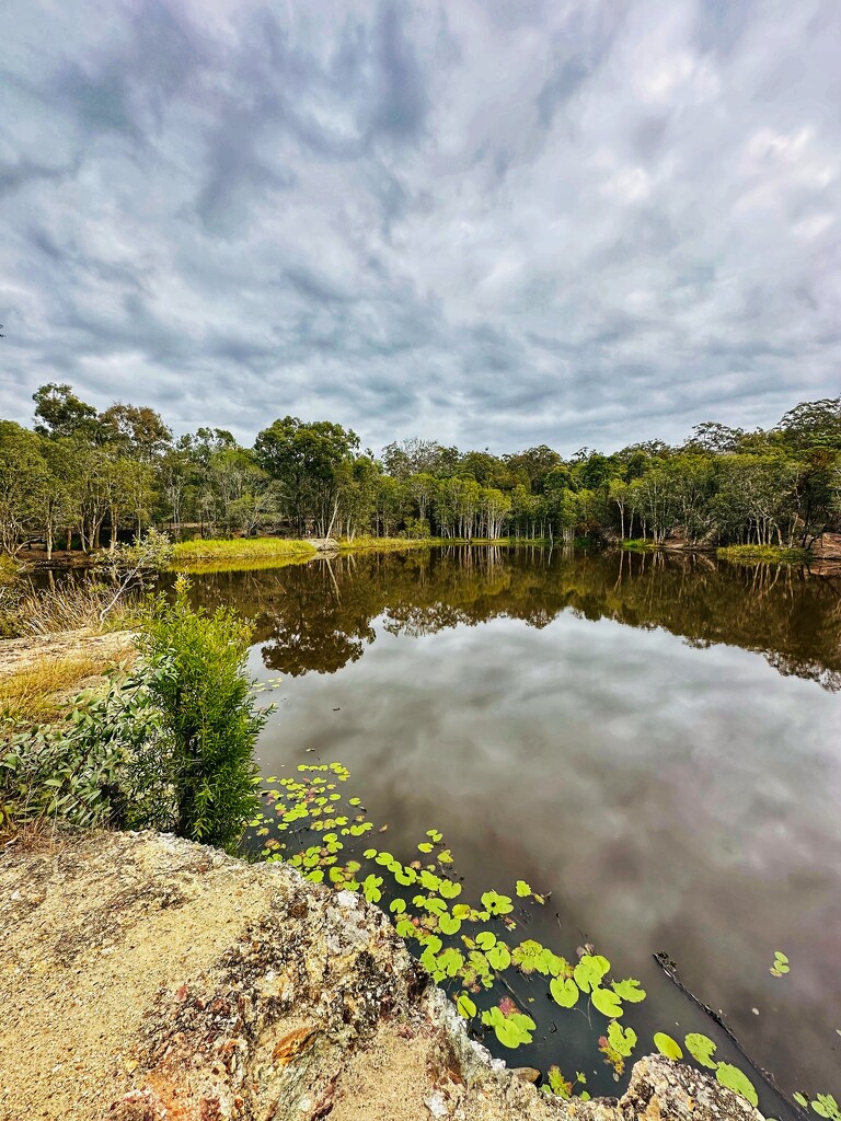 Hemmant Quarry by corymbia