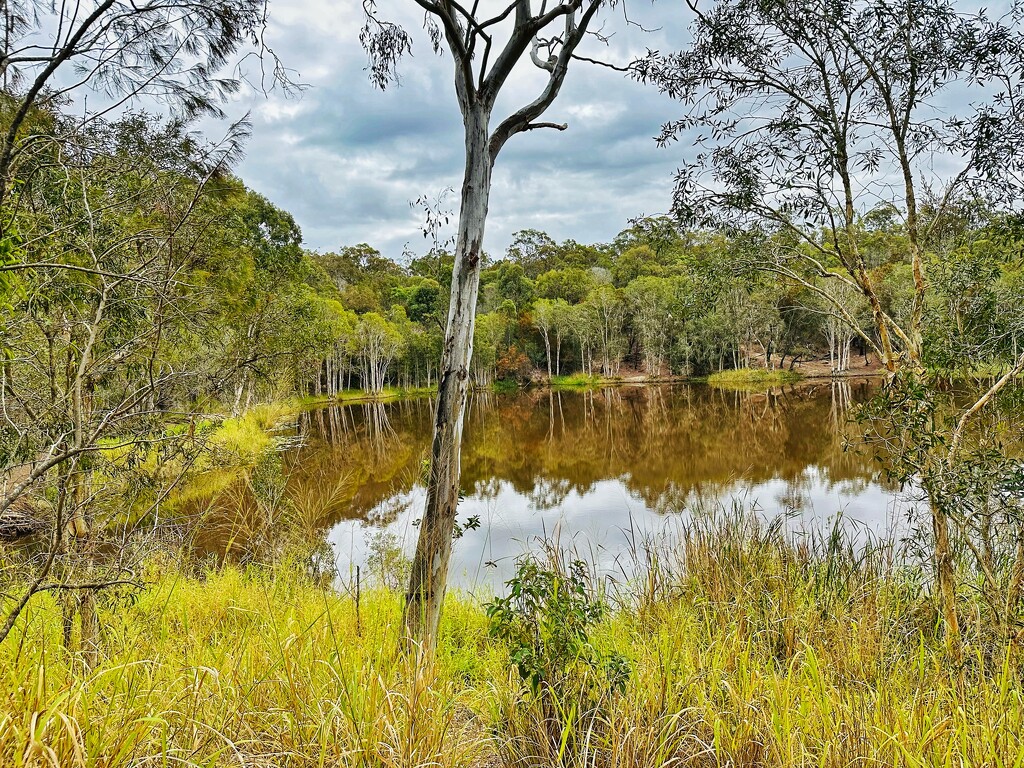 Hemmant Quarry by corymbia