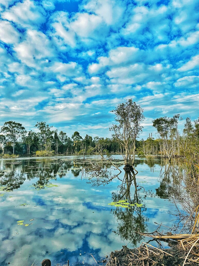 Sandy Camp Reserve by corymbia