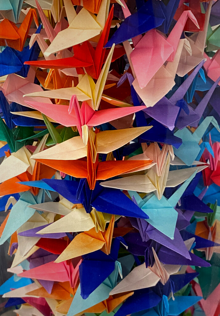 Paper swans.  by johnfalconer