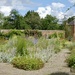 The walled garden at Middleton Hall .  by orchid99