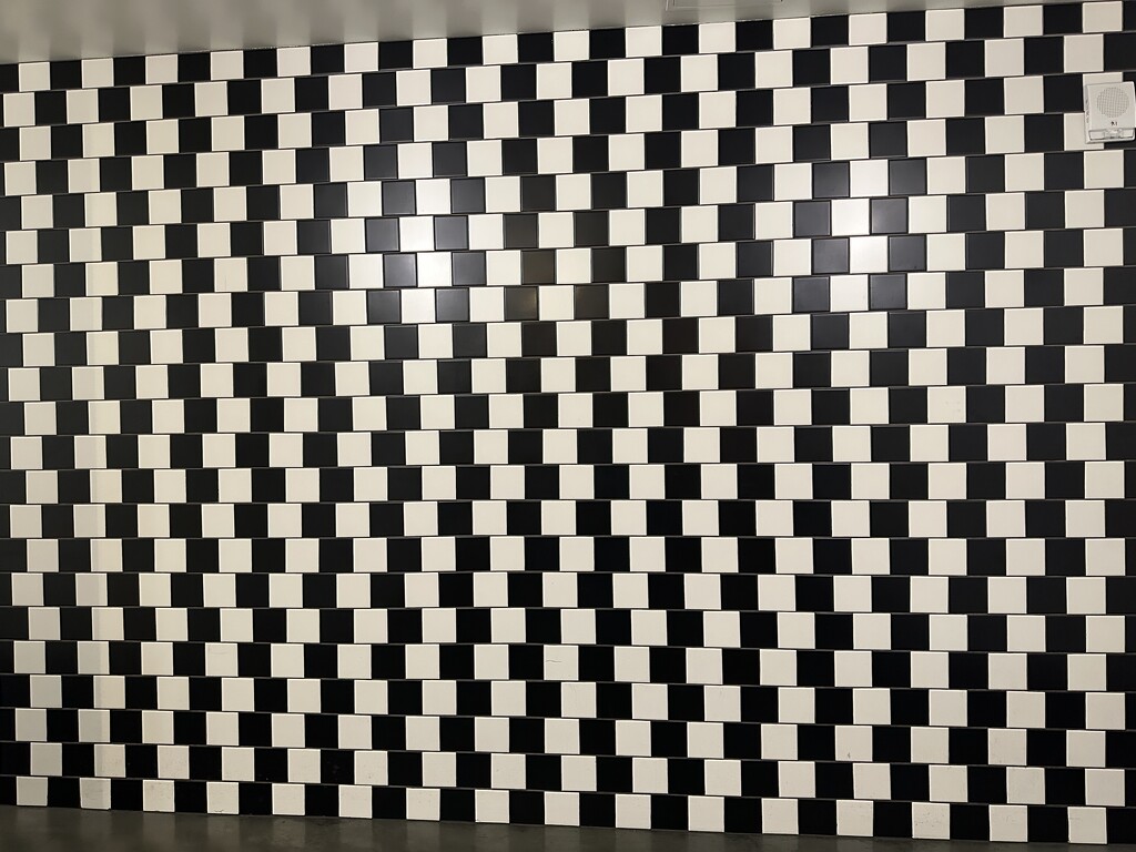 A wall illusion by shutterbug49
