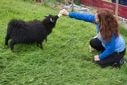 19th Jul 2023 - Feeding time