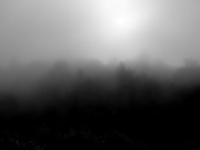 19th Jul 2023 - morning mist