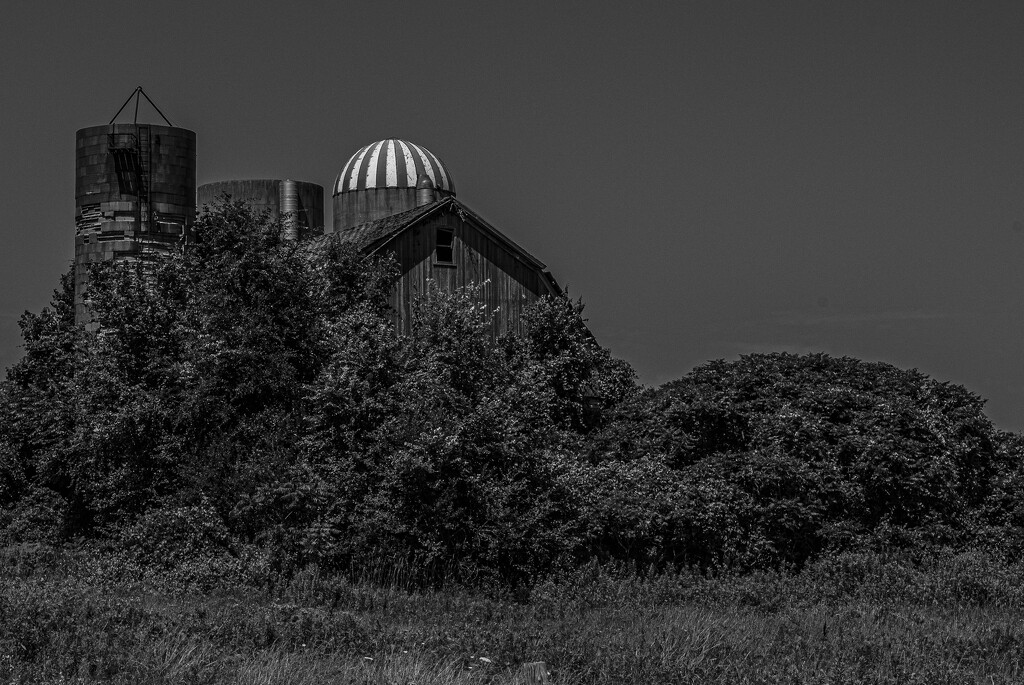 Three silos and a barn_1 by darchibald
