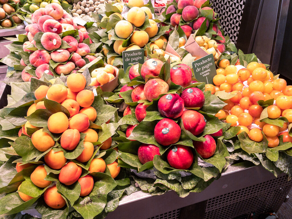 Colorful fruit by robgarrett