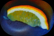 20th Jul 2023 - Lemon Rainbow