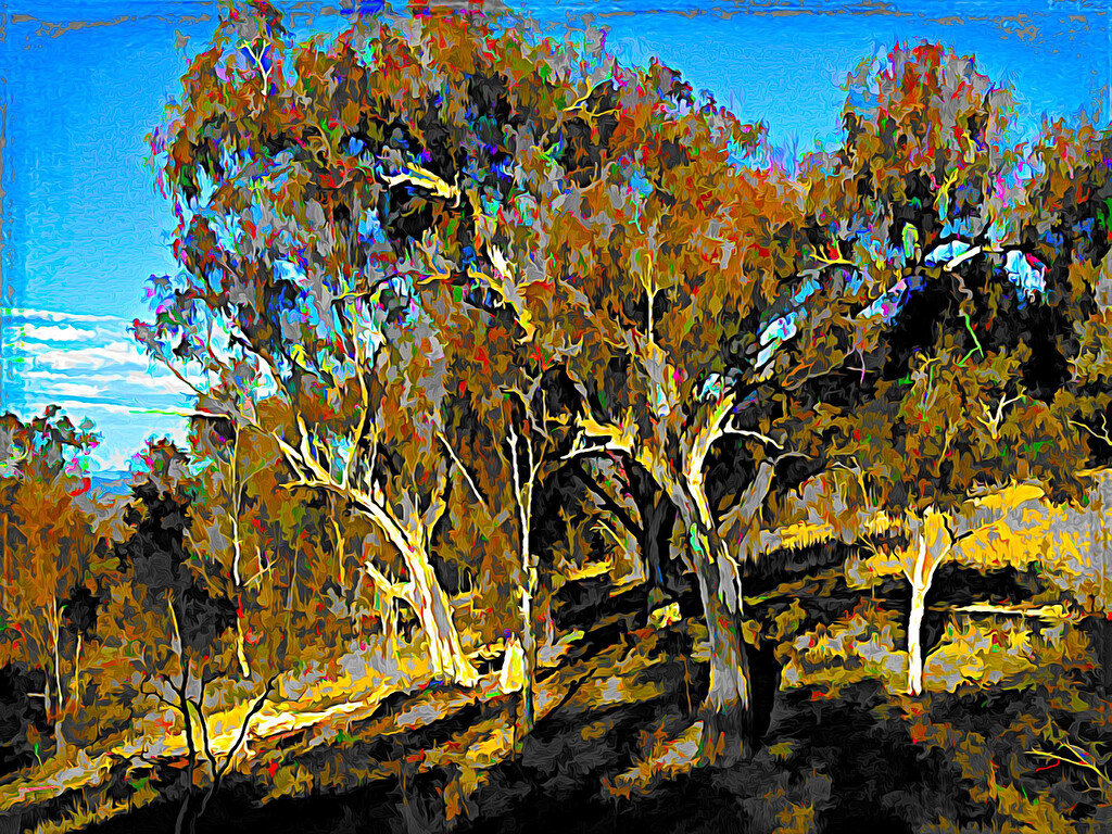 Gum trees 2! by pusspup
