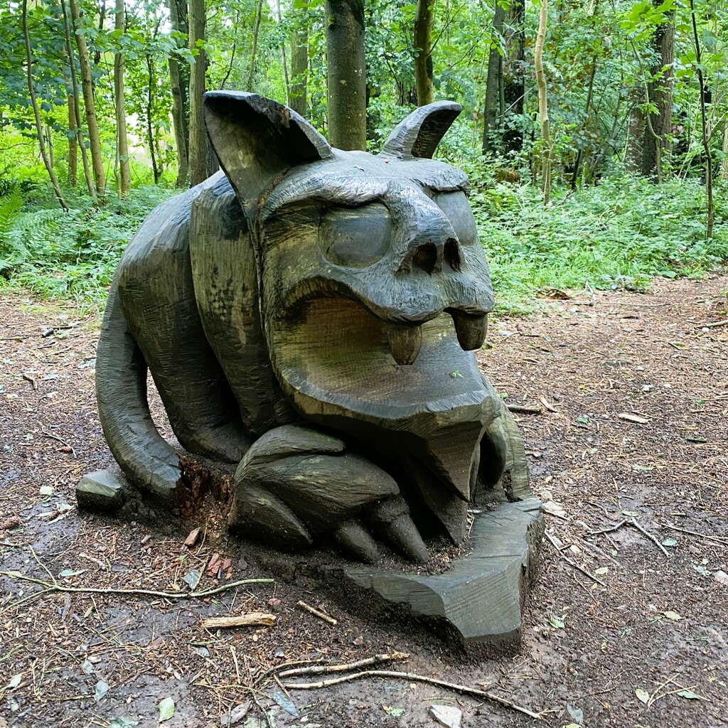 woodland devil by cam365pix