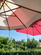 20th Jul 2023 - A two parasol day!
