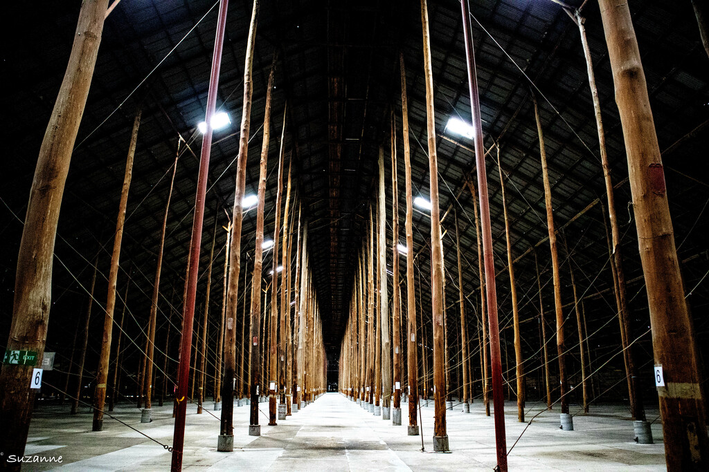 The Murtoa Stick Shed by ankers70