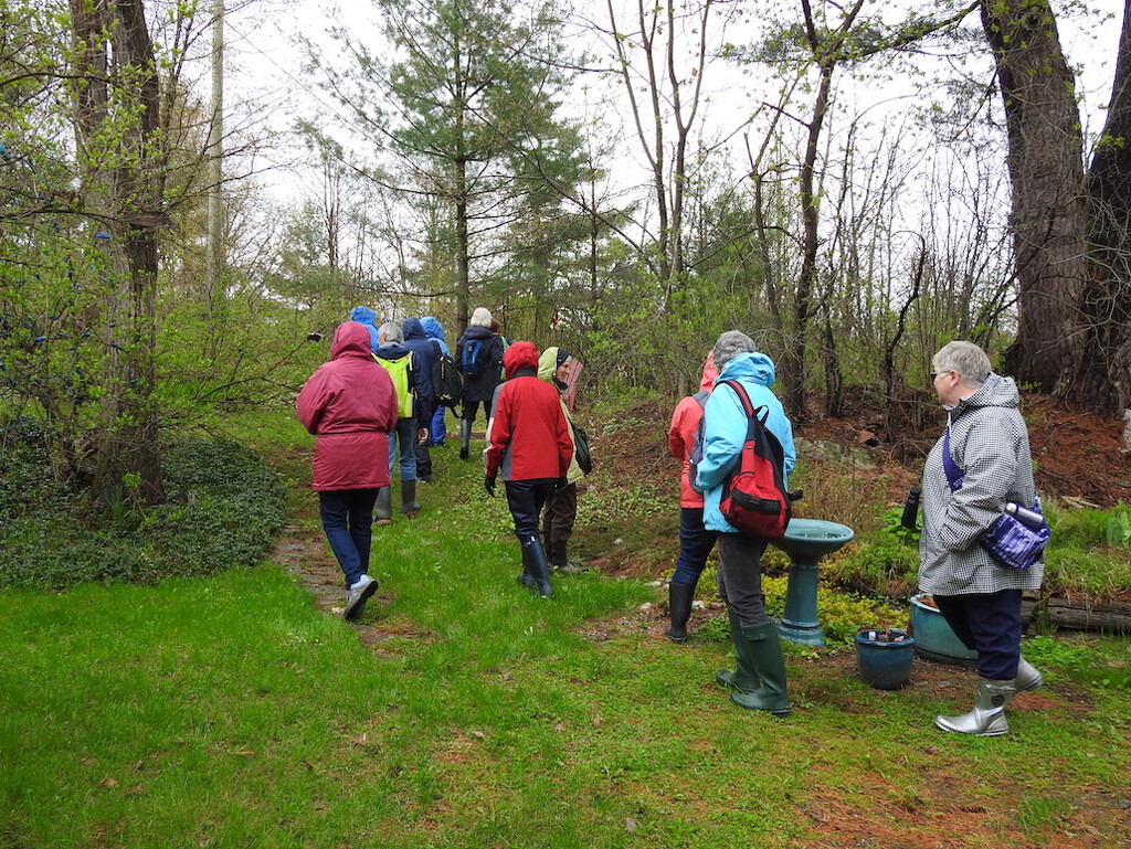 A Field Naturalist Outing  by sunnygreenwood