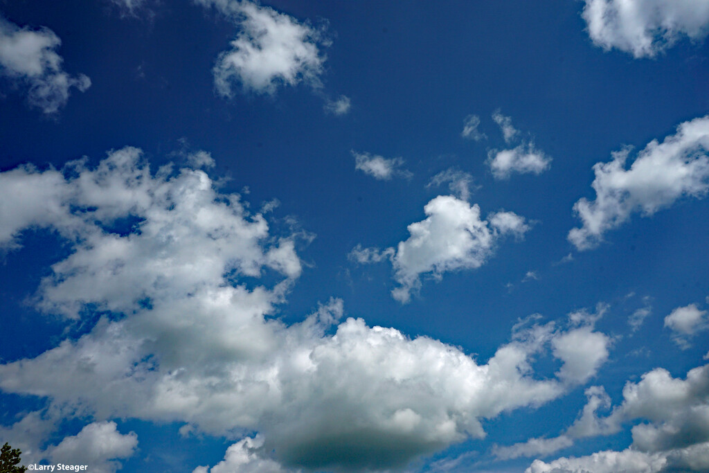 Clear summer sky by larrysphotos