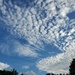 Summer sky by mimiducky