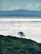 21st Jul 2023 - Beside the Silvery Sea