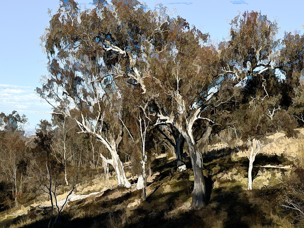 Gum trees 3 by pusspup