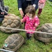 Giant tortoises by happypat