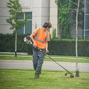 21st Jul 2023 - Tidying Up the Edges