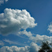 Blue sky and clouds in July by larrysphotos