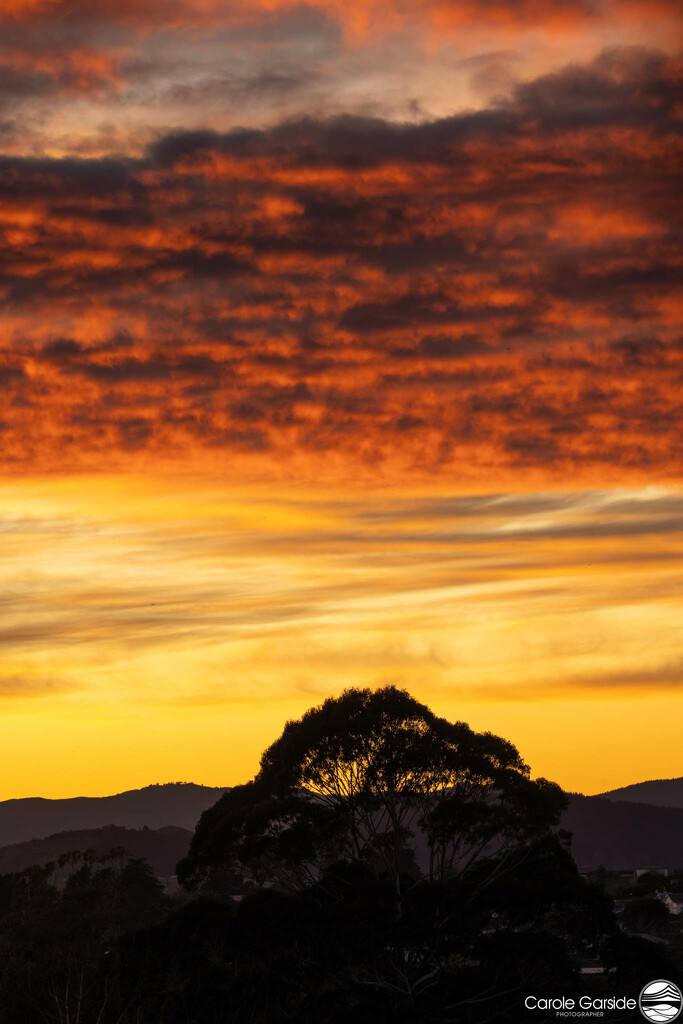 Shepherds Warning by yorkshirekiwi