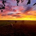 Amazing sunrise..  by julzmaioro